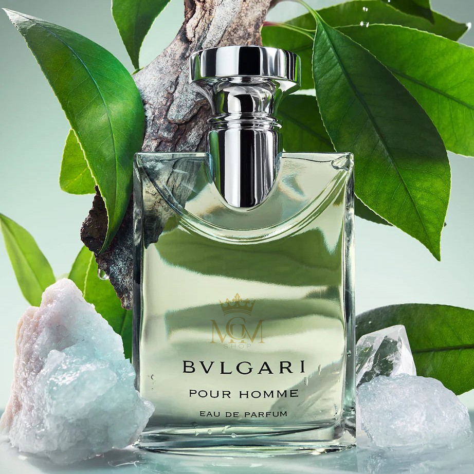 POUR HOMME 3 POUR HOMME - Image 3