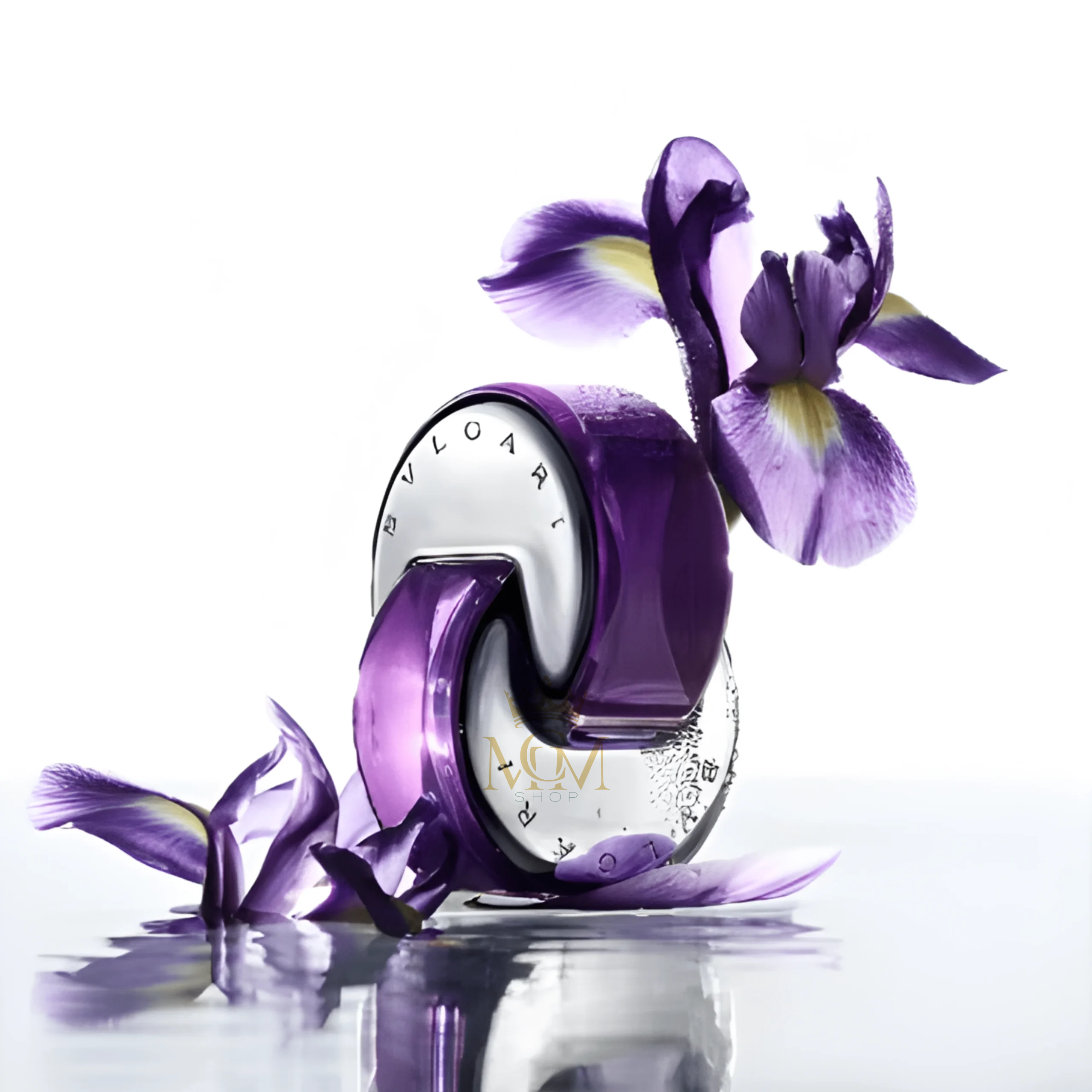 OMNIA AMETHYSTE 3 OMNIA AMETHYSTE - Image 3